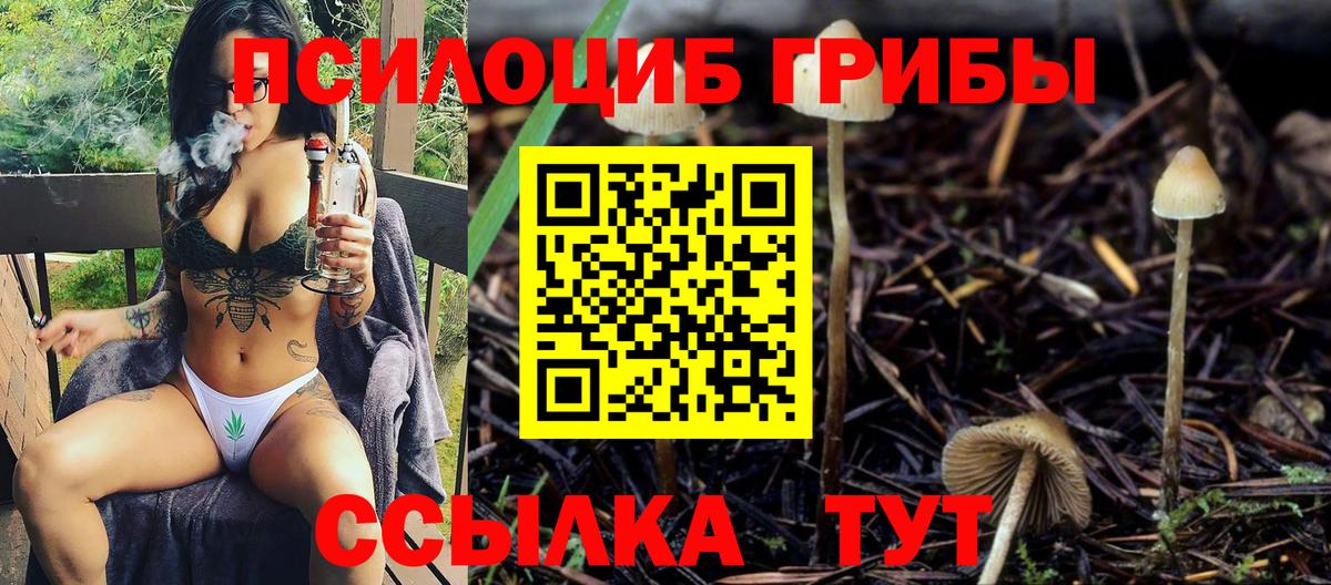 Галлюциногенные грибы Cubensis Сертолово