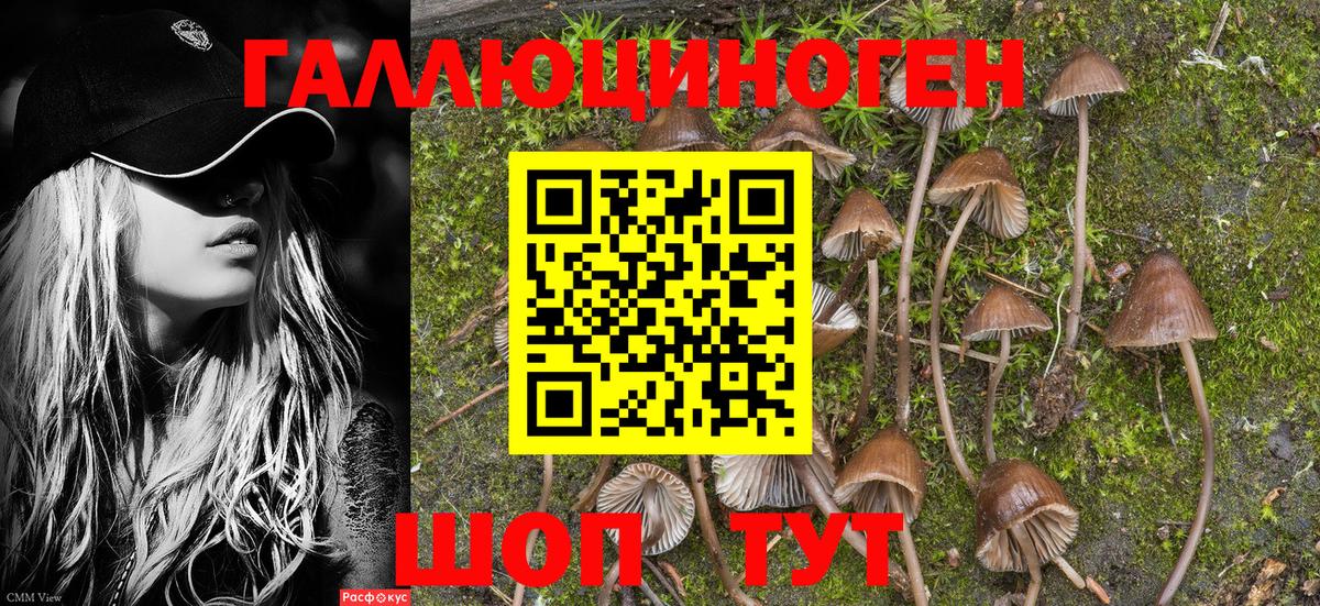 Псилоцибиновые грибы MAGIC MUSHROOMS  Вход с VPN  Галлюциногенные грибы Magic Shrooms  Сертолово 
